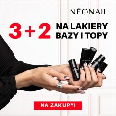 Startujemy z Black Friday.