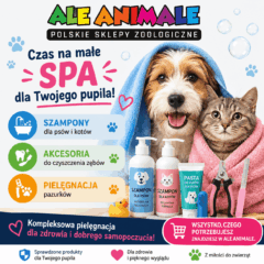 Czas na małe SPA dla Twojego pupila! 